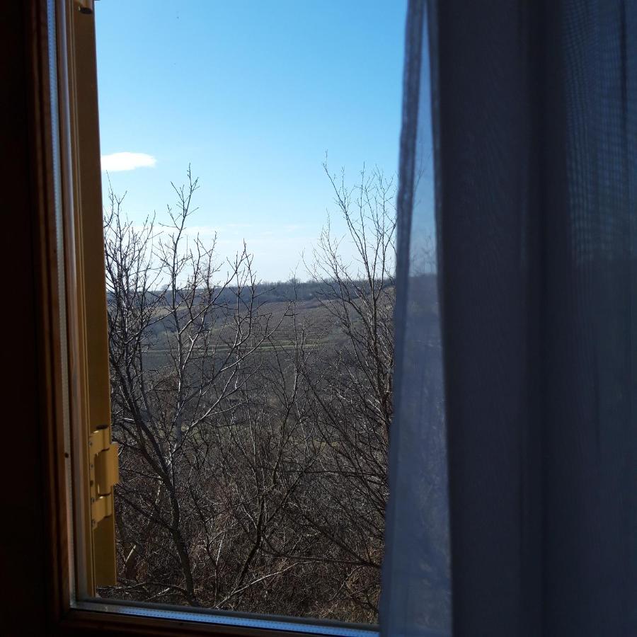 Domacinstvo Bakic Guest House Irig Екстериор снимка